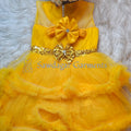 IMG-20250224-WA0040 – Copy
