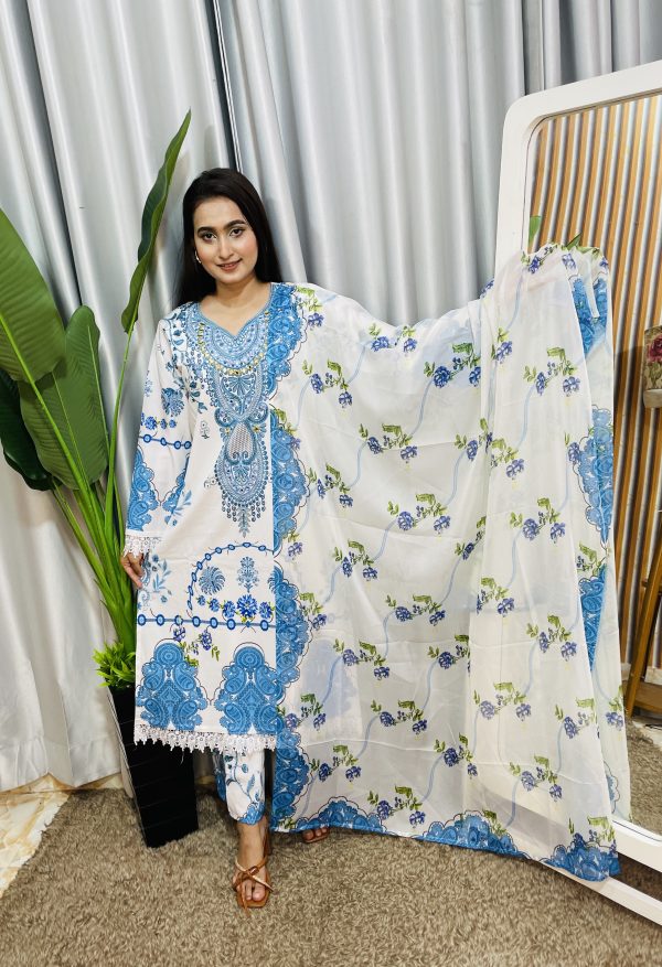 dubai silk pakistani style - Image 6