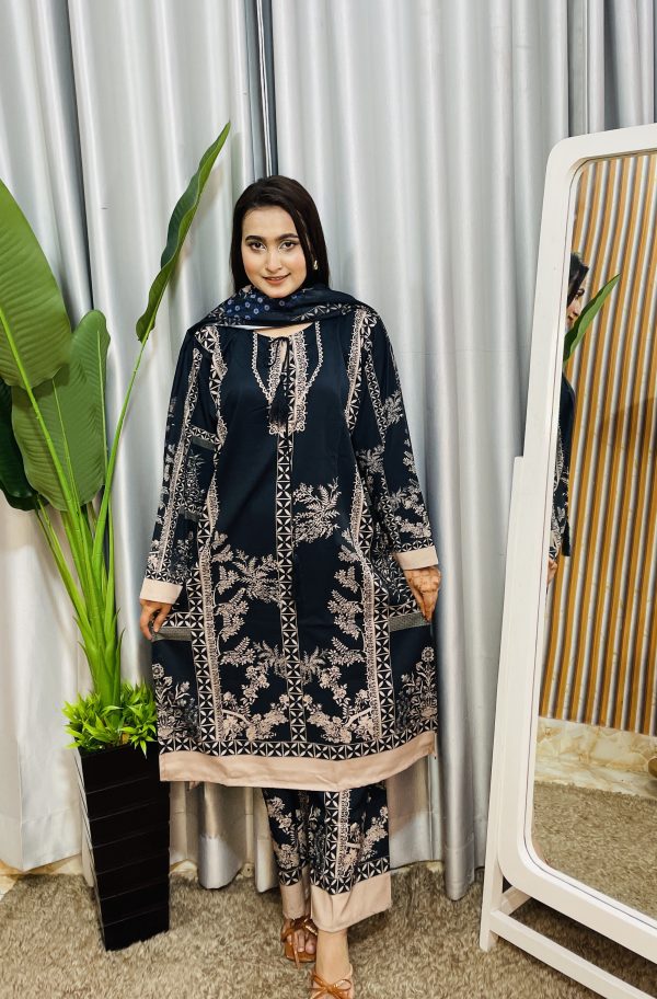 dubai silk pakistani style - Image 2