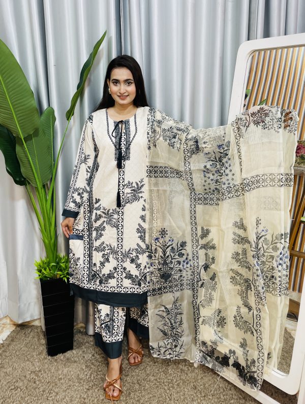 dubai silk pakistani style - Image 2