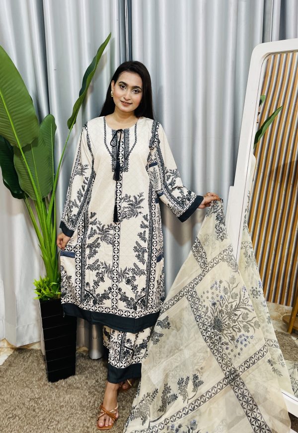 dubai silk pakistani style - Image 3