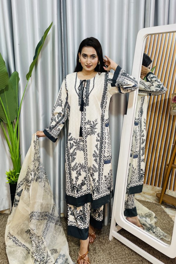 dubai silk pakistani style - Image 4