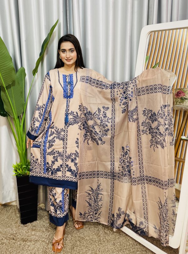 dubai silk pakistani style - Image 4