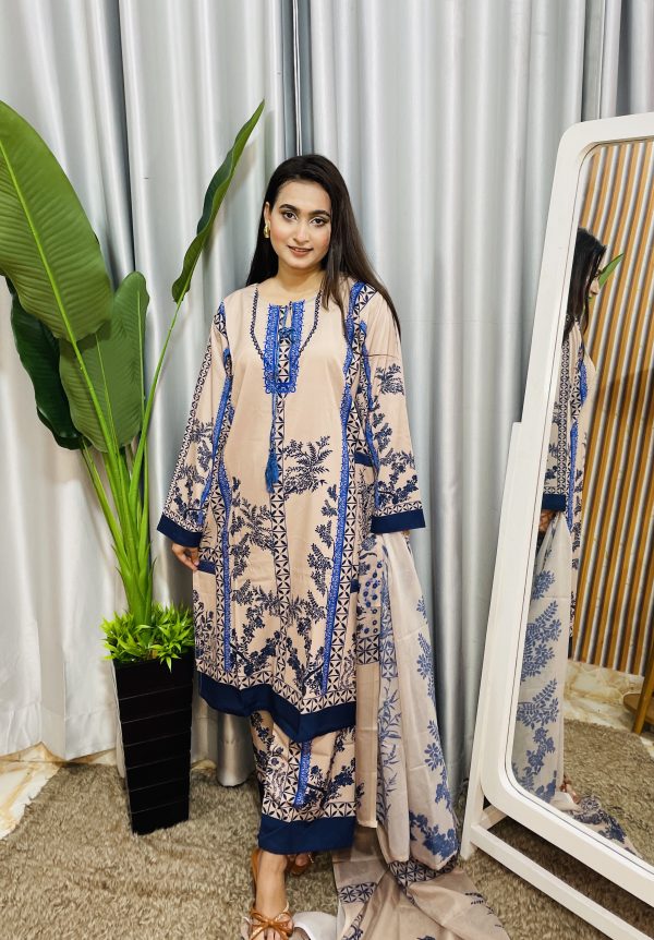 dubai silk pakistani style - Image 3