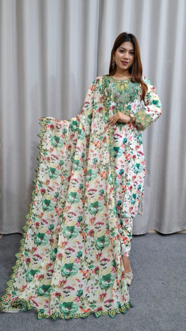 pakistani inspire dil nishan - Image 6