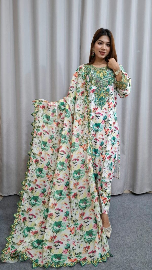 pakistani inspire dil nishan - Image 4