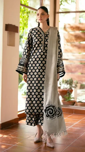 pakistani inspire aganoor silk collection