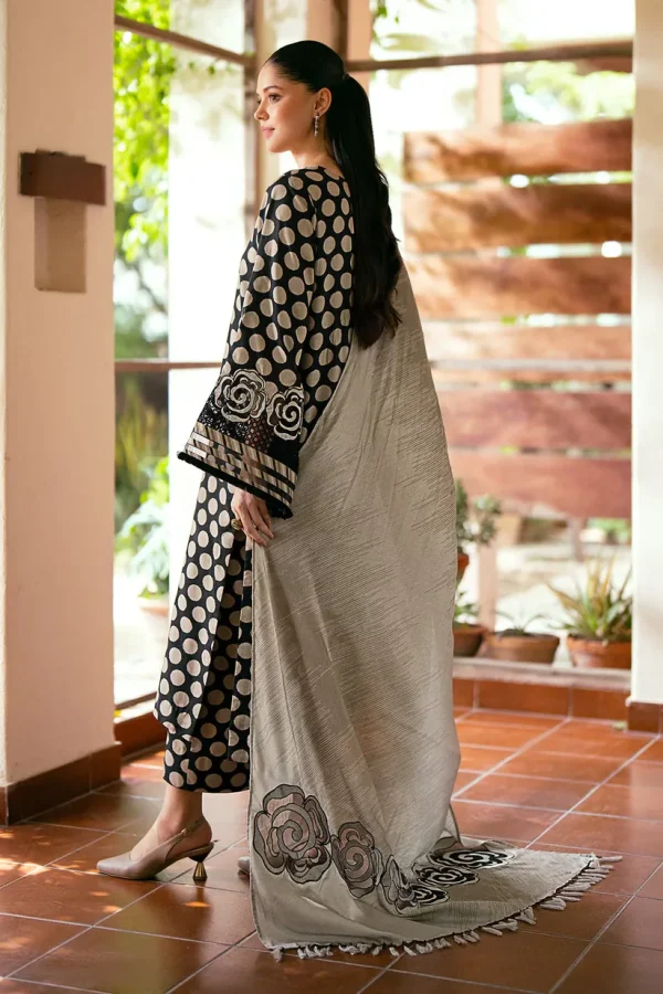 pakistani inspire aganoor silk collection - Image 3